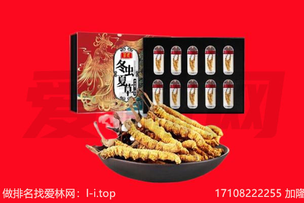 黔东南州从江回收虫草.jpg